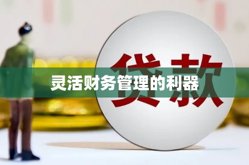 汝南灵活财务管理的利器
