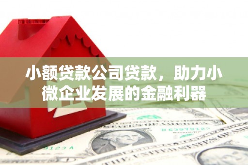 汝南小额贷款公司贷款，助力小微企业发展的金融利器