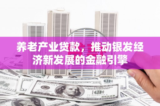 汝南养老产业贷款，推动银发经济新发展的金融引擎