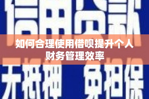 汝南如何合理使用借呗提升个人财务管理效率