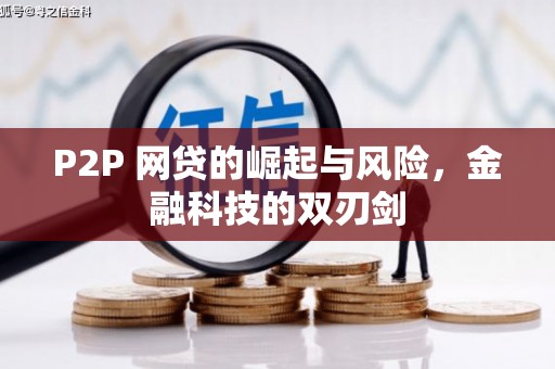 汝南P2P 网贷的崛起与风险，金融科技的双刃剑