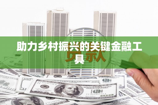 汝南助力乡村振兴的关键金融工具