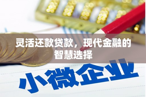 汝南灵活还款贷款，现代金融的智慧选择