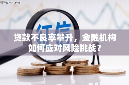 汝南贷款不良率攀升，金融机构如何应对风险挑战？