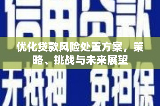 汝南优化贷款风险处置方案，策略、挑战与未来展望