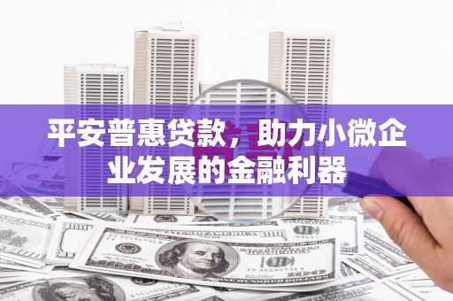 汝南平安普惠贷款，助力小微企业发展的金融利器