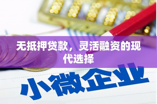 汝南无抵押贷款，灵活融资的现代选择