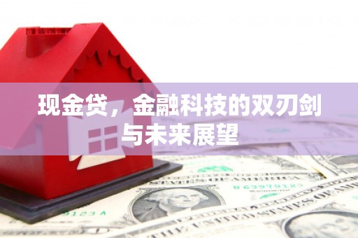 汝南现金贷，金融科技的双刃剑与未来展望