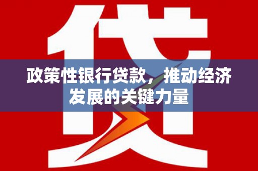 汝南政策性银行贷款，推动经济发展的关键力量