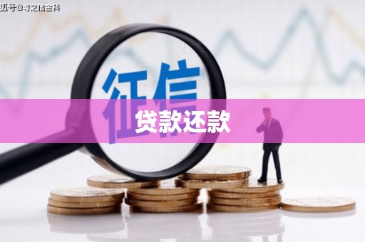汝南贷款还款