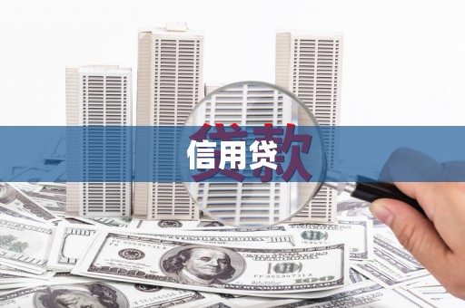 汝南信用贷
