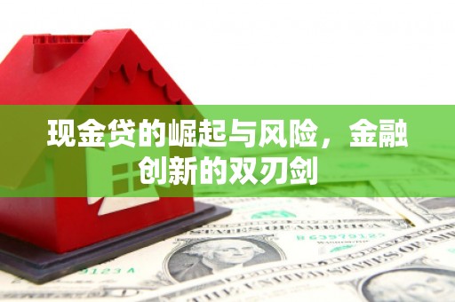 汝南现金贷的崛起与风险，金融创新的双刃剑