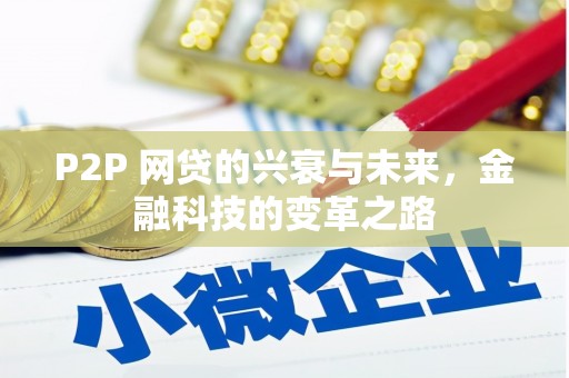 汝南P2P 网贷的兴衰与未来，金融科技的变革之路