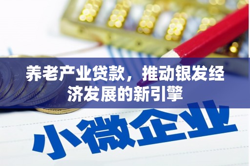 汝南养老产业贷款，推动银发经济发展的新引擎