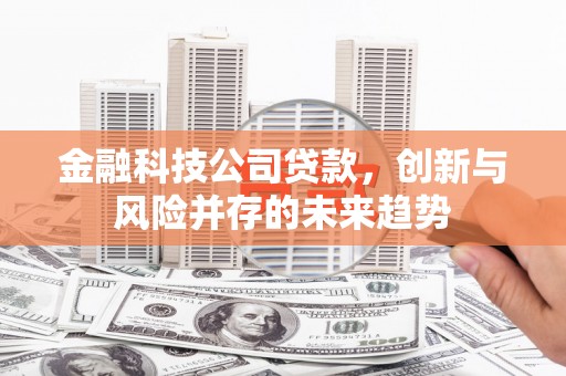 汝南金融科技公司贷款，创新与风险并存的未来趋势