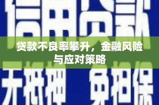 汝南贷款不良率攀升，金融风险与应对策略
