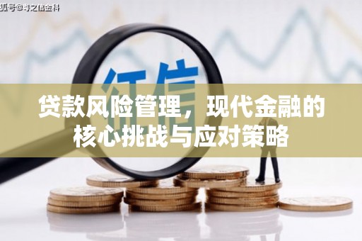 汝南贷款风险管理，现代金融的核心挑战与应对策略