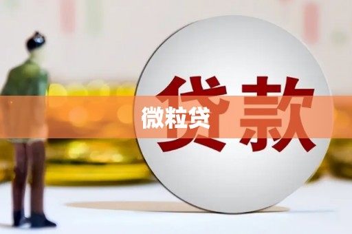 汝南微粒贷