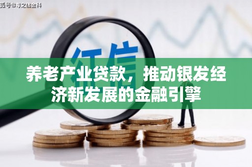 汝南养老产业贷款，推动银发经济新发展的金融引擎