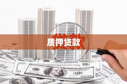汝南质押贷款