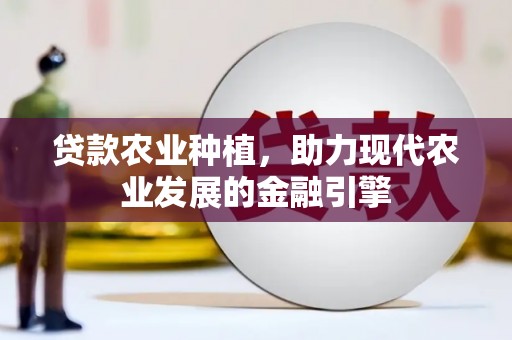 汝南贷款农业种植，助力现代农业发展的金融引擎