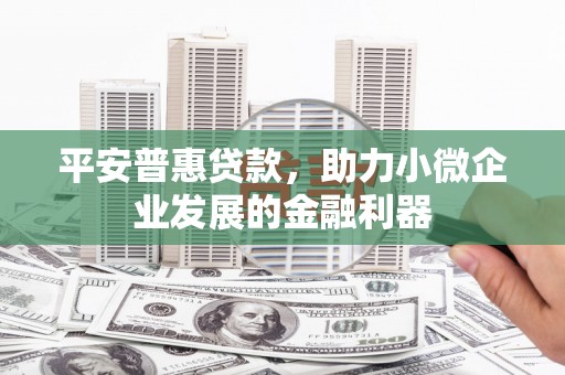 汝南平安普惠贷款，助力小微企业发展的金融利器