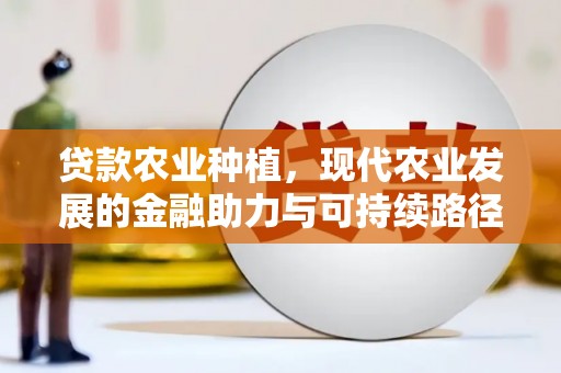 汝南贷款农业种植，现代农业发展的金融助力与可持续路径