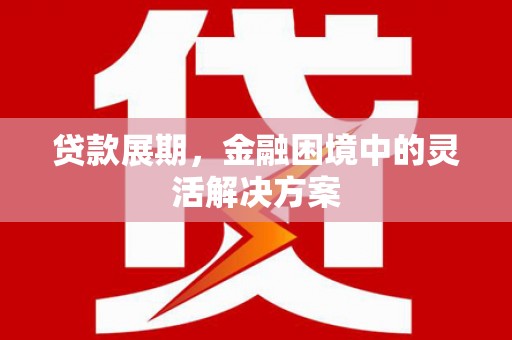 汝南贷款展期，金融困境中的灵活解决方案