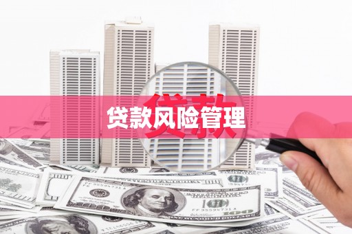 汝南贷款风险管理