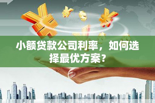 汝南小额贷款公司利率，如何选择最优方案？