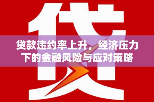 汝南贷款违约率上升，经济压力下的金融风险与应对策略