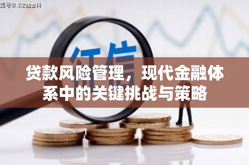 汝南贷款风险管理，现代金融体系中的关键挑战与策略