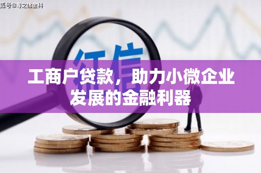 汝南工商户贷款，助力小微企业发展的金融利器