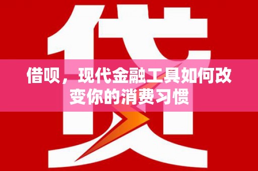 汝南借呗，现代金融工具如何改变你的消费习惯