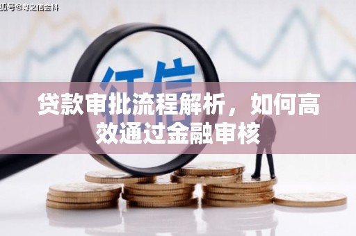 汝南贷款审批流程解析，如何高效通过金融审核