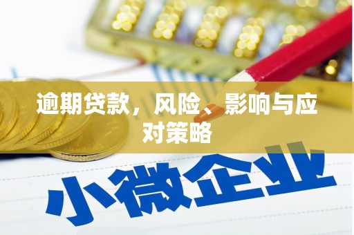 汝南逾期贷款，风险、影响与应对策略