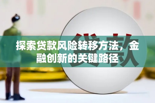 汝南探索贷款风险转移方法，金融创新的关键路径