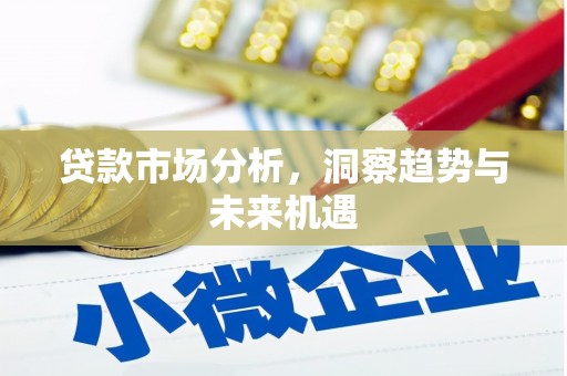 汝南贷款市场分析，洞察趋势与未来机遇