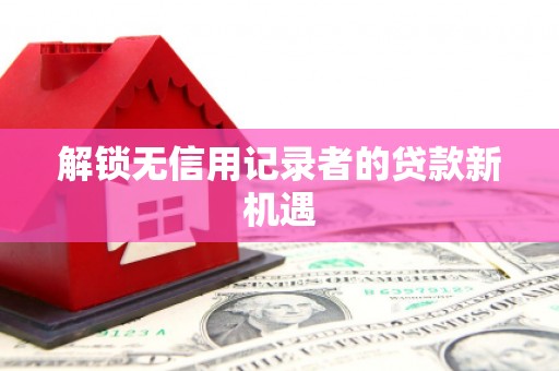 汝南解锁无信用记录者的贷款新机遇