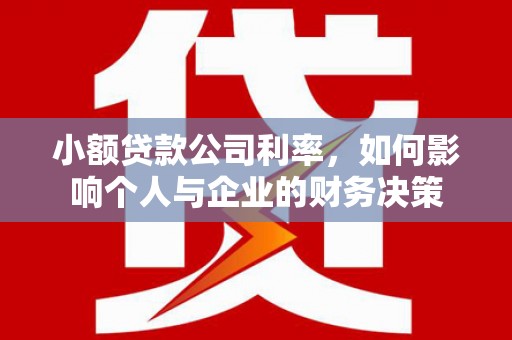 汝南小额贷款公司利率，如何影响个人与企业的财务决策