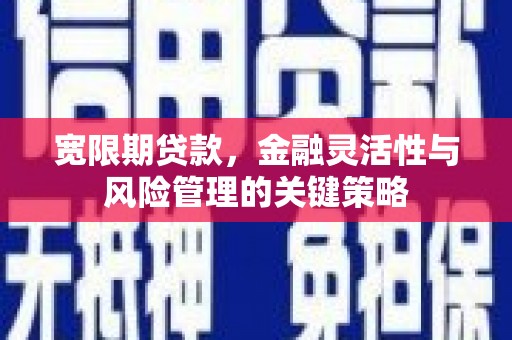汝南宽限期贷款，金融灵活性与风险管理的关键策略