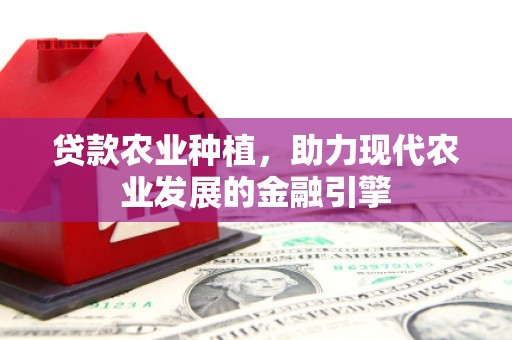 汝南贷款农业种植，助力现代农业发展的金融引擎