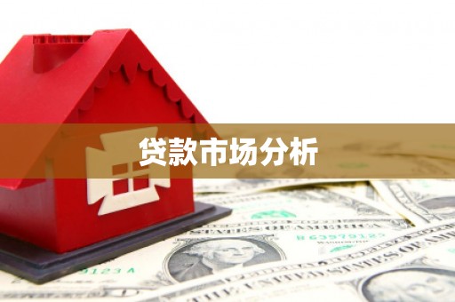 汝南贷款市场分析