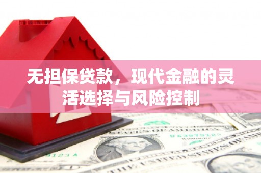汝南无担保贷款，现代金融的灵活选择与风险控制