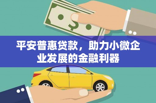 汝南平安普惠贷款，助力小微企业发展的金融利器