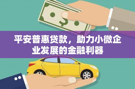 汝南平安普惠贷款，助力小微企业发展的金融利器