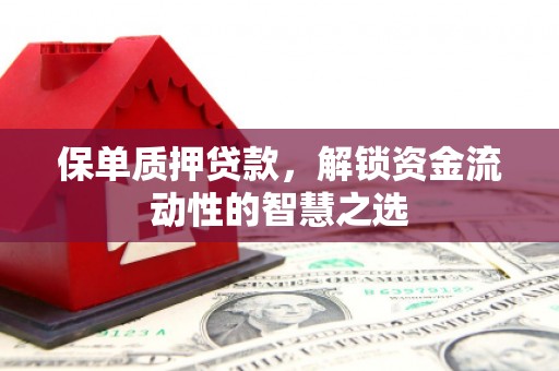 汝南保单质押贷款，解锁资金流动性的智慧之选