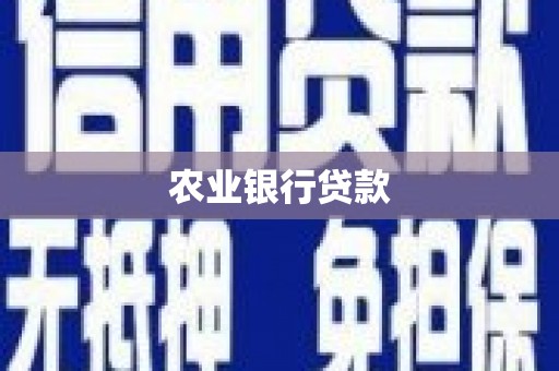 汝南农业银行贷款