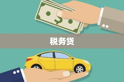 汝南税务贷