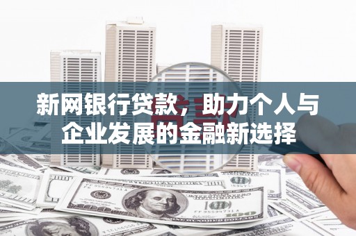 汝南新网银行贷款，助力个人与企业发展的金融新选择